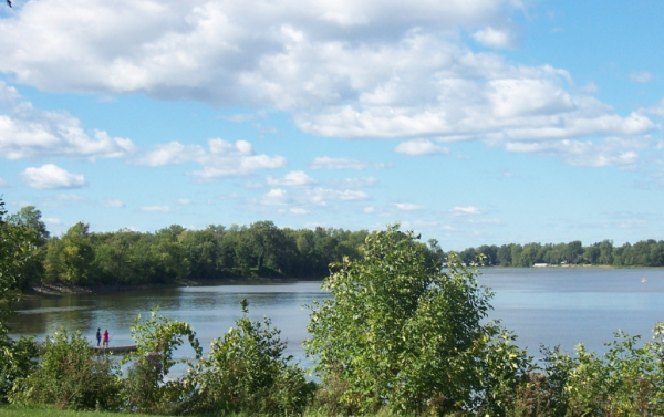 加拿大排名前十大学