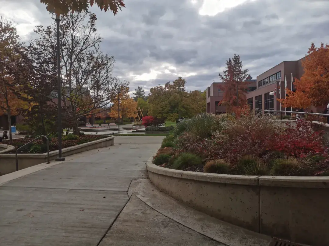 加拿大排名前十大学