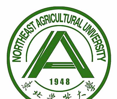 黑龙江的大学排行榜