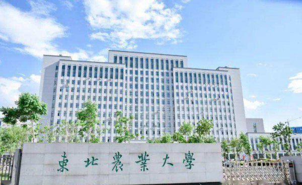 黑龙江的大学排行榜