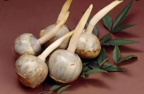 蔬菜食物中的水八仙是指哪八仙