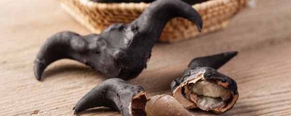 菱角可以蒸着吃吗