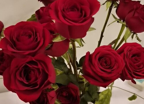 22朵玫瑰花代表什么意思