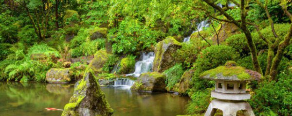 鱼池用什么材质的水管最好