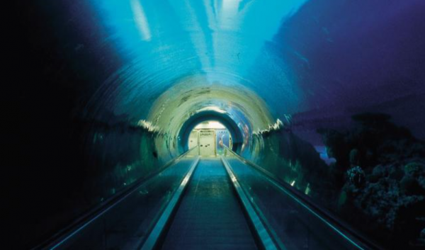 海底隧道是在海底还是在海的中间