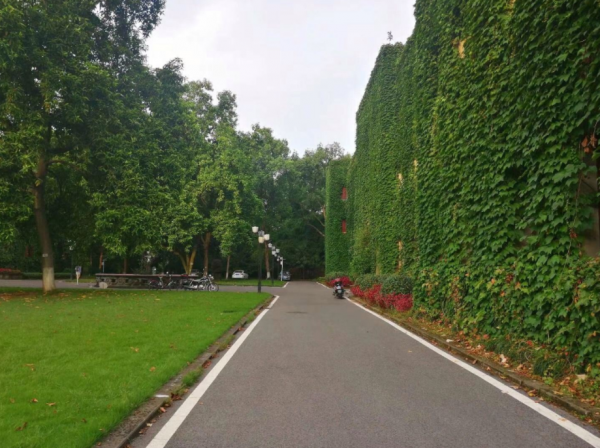 中国最大的大学是哪个大学