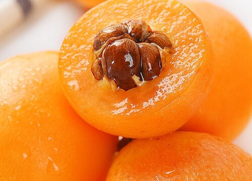 苏州东山枇杷什么时候成熟