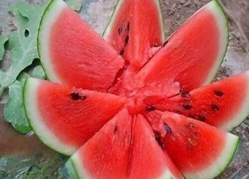 西瓜的切法大全图解