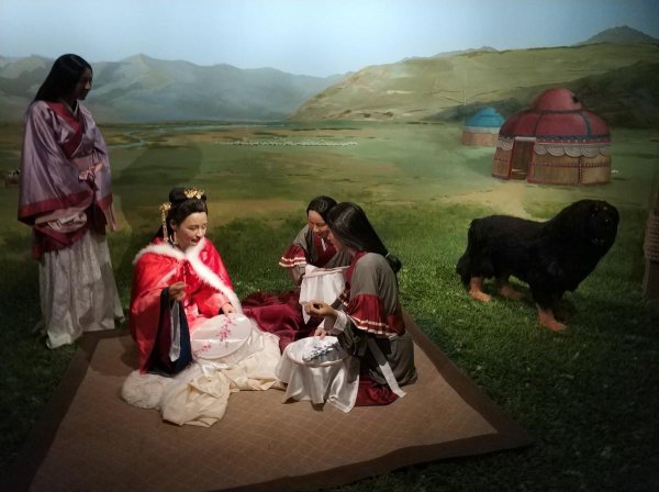 鲜花插在牛粪上什么意思