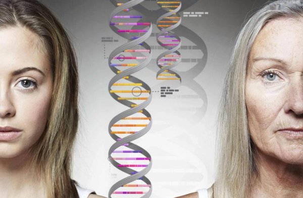 老人最容易去世的年龄