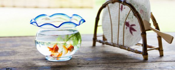 小鱼缸用盐泡多久合适