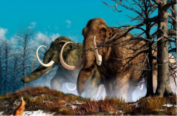 猛犸象是哺乳动物么