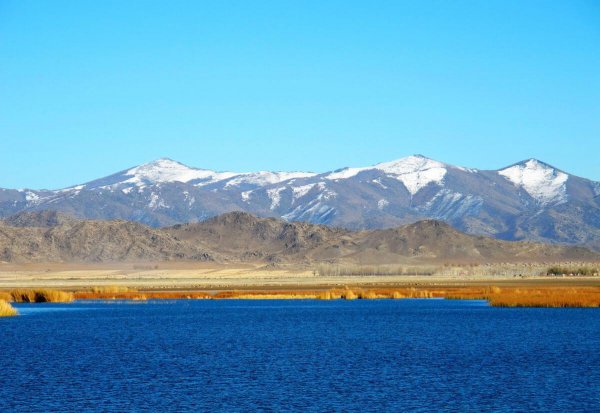 中国最冷的地方是什么地方