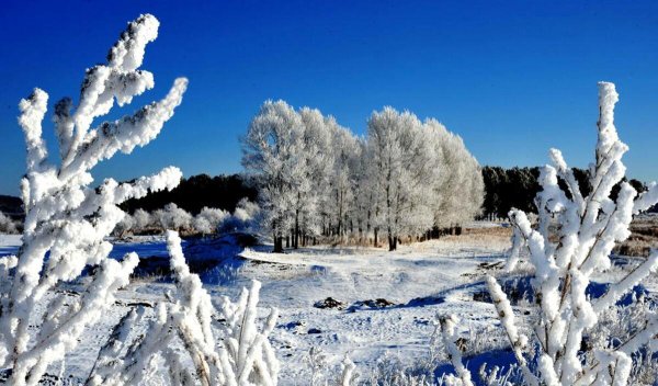中国最冷的地方是什么地方