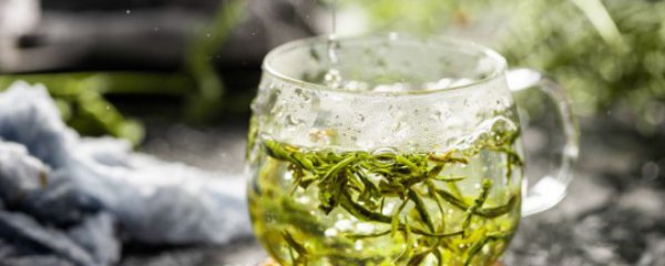 信阳毛尖茶叶怎么冲泡好