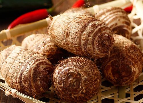 芋艿什么时候成熟