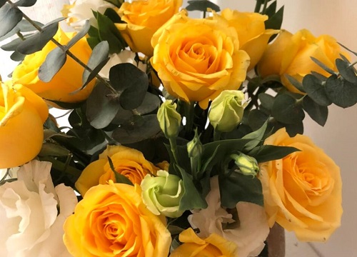 桔梗花花期是什么时候