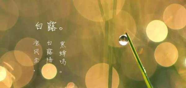 民间一向有白露身不露之说