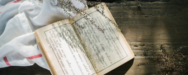 现充情侣是什么意思