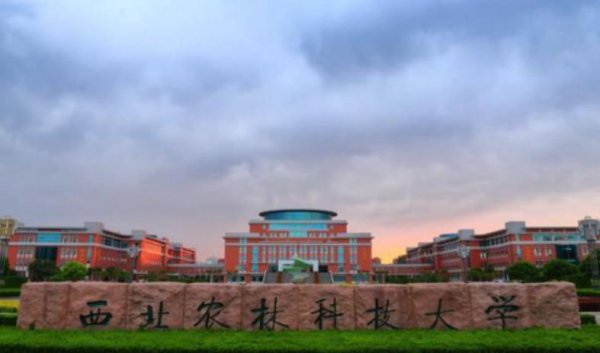 中国双一流大学是什么意思