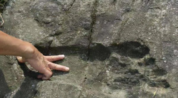 世界上真的有巨人吗