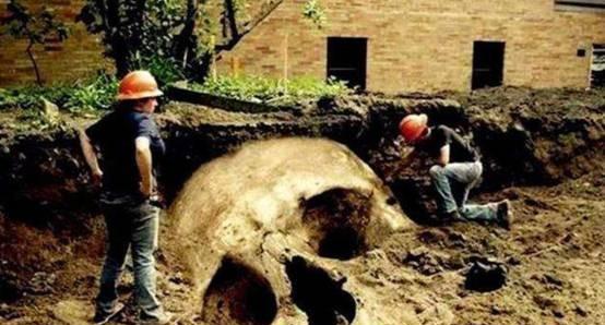 世界上真的有巨人吗