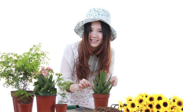 喜欢种花草的女人性格特点