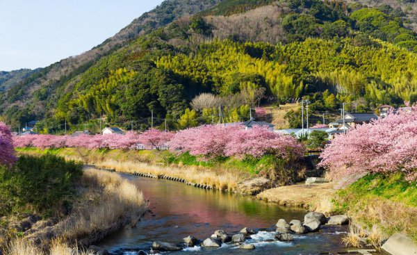 喜欢种花草的女人性格特点