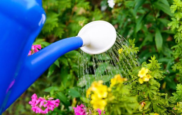 喜欢种花草的女人性格特点