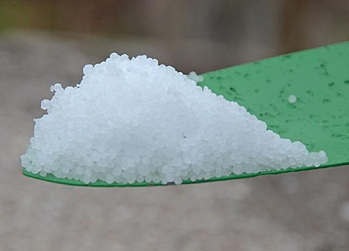 如何给兰花使用尿素令叶片更浓绿