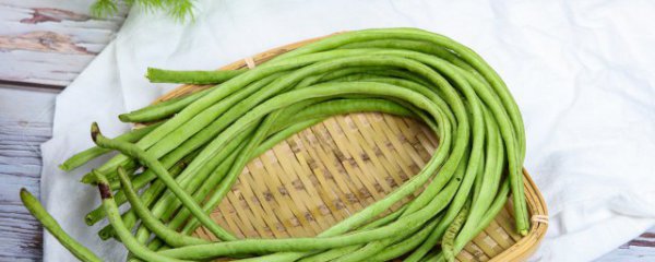 豇豆怎么保鲜