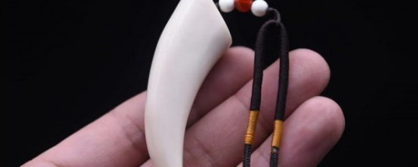 佩戴象牙饰物有何禁忌