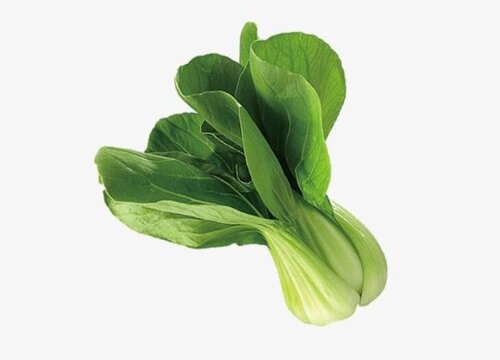 花科类的蔬菜有哪些