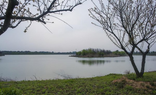 湖州是哪个省的城市