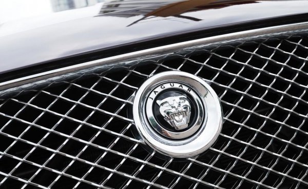 虎头标志是什么车