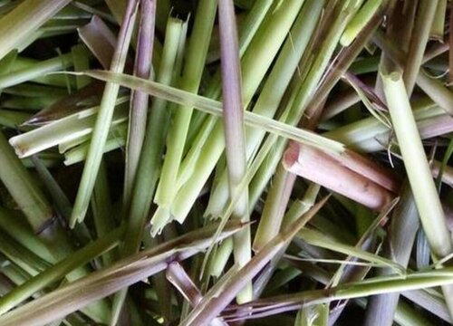 芦笋怎么削皮快