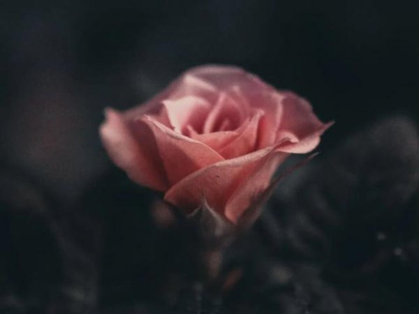 双子男和天秤女的爱情故事