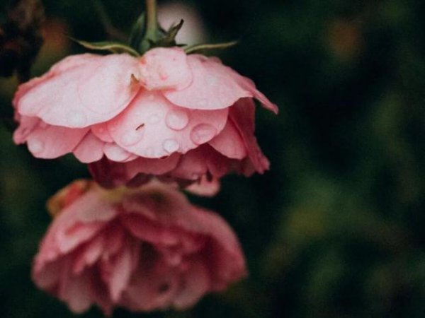 双子男和天秤女的爱情故事