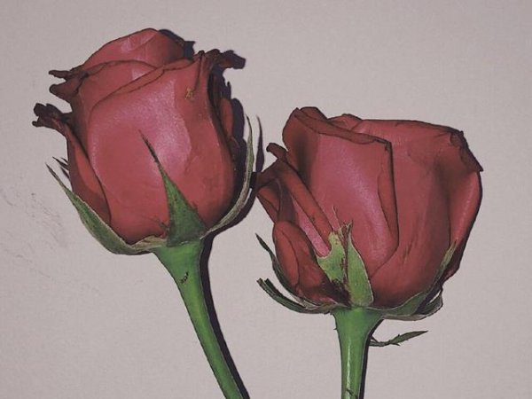 双子男和天秤女的爱情故事