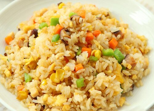 剩饭可以做肥料吗