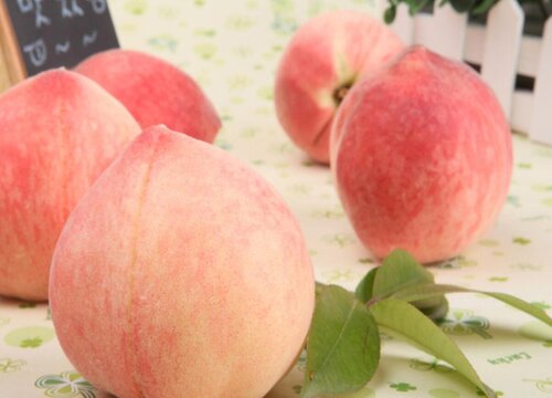 水蜜桃是脆桃还是软桃