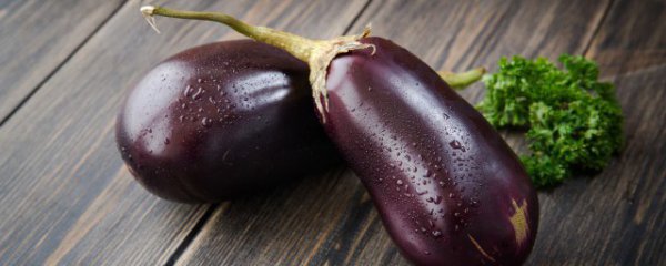 茄子能吃生的吗