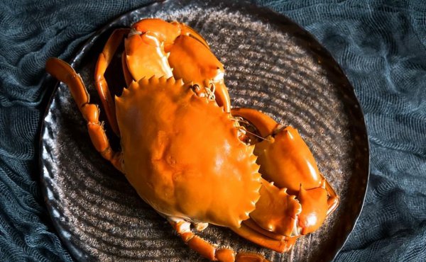 青蟹是淡水还是海水蟹