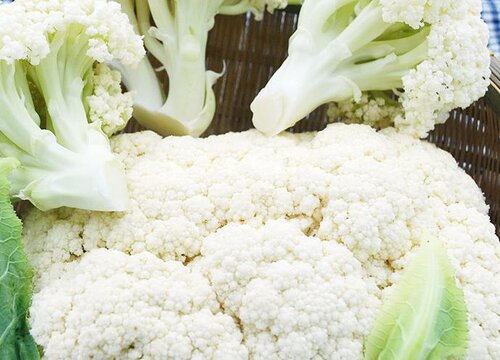 种植花菜赚钱吗