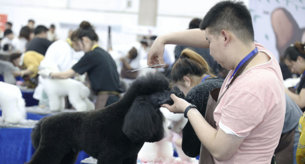 男生最吃香的十大专业