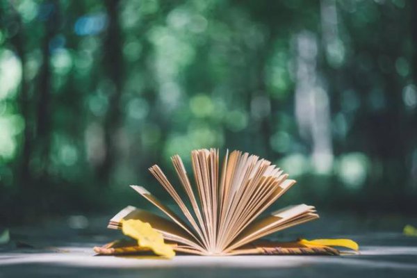 网络用语释怀是什么意思