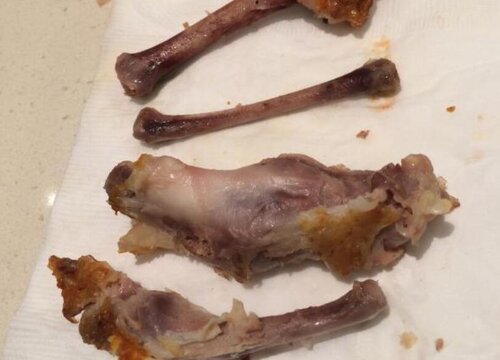 鸡骨头可以做肥料吗