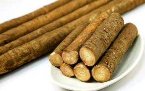 牛蒡是牛的什么器官