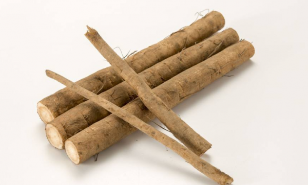 牛蒡是牛的什么器官