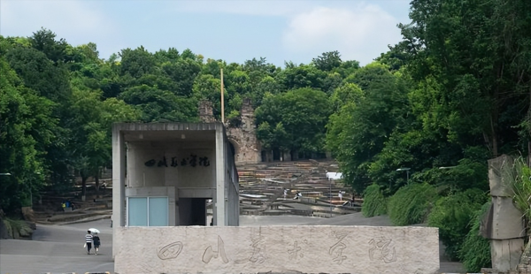 国内美术专业比较好的大学